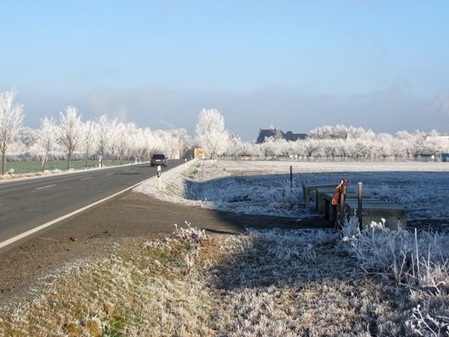 Winter