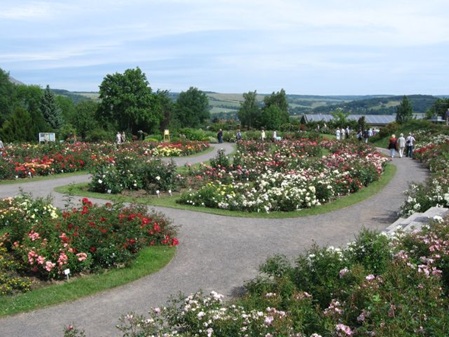 Rosarium Sangerhausen